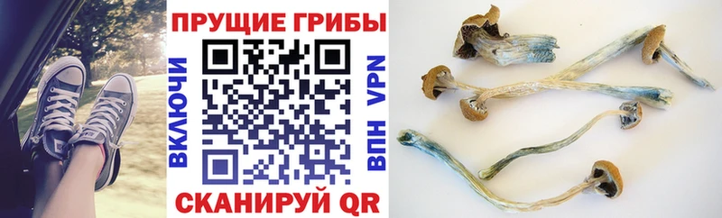 наркота  ОМГ ОМГ сайт  Псилоцибиновые грибы MAGIC MUSHROOMS  Нерюнгри 